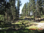 2012-09-15_23-07-46_NM-OT-35-5.jpg