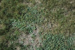 2016-09-26_13-17-33_Sep16-257-ME.jpg