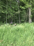 2017-05-30_05-26-34_377A9054-BE2E-455B-8293-ADB3161E7AB1.jpg