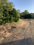 2020-10-02_09-18-19_39F265C5-AE94-4126-8840-613F61430456.jpg