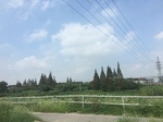 2017-09-12_12-33-19_C4A0D737-E5F0-45D3-929E-284DD2E3F821.jpg