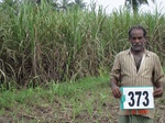 76320373c-irrigated-supplemental-groundwater-sugarcane-coconut-plantation.jpg