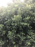 2017-09-10_07-07-09_41E57E4A-7E6D-4C74-8F19-83E90D1A8984.jpg