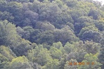 2012-10-19_23-47-03_KY-JH-4-1.JPG