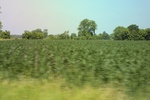 2022-05-26_14-15-32_C7A589A3-6415-4900-802B-42D41D6807F4.jpeg