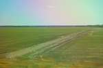 2022-06-12_15-25-37_DA659319-DF12-4DE4-85E3-DFE6D1943104.jpeg