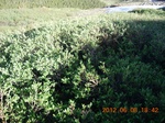 2012-09-27_14-25-53_192.JPG
