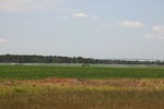 2022-05-26_14-16-17_ADC93AFD-4BE9-4BD7-8647-E3372D967532.jpeg