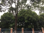 2017-09-10_06-38-28_6AB91166-F0E6-48DF-AB1B-63487354EBFC.jpg