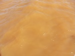 2012-09-21_14-25-54_CIMG0155.JPG