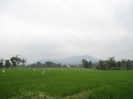 13918IMG_4203.JPG