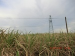 2012-09-26_20-49-55_CIMG1073.JPG