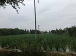 2017-09-12_10-48-01_4B2A6332-CEDD-4C81-B32B-72575E4AA694.jpg