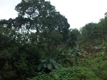 5886100_1589.JPG