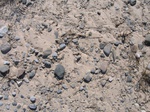 10340vp-029-Waste land, short grasses and open lands-a.jpg