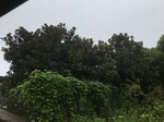 2017-09-11_22-14-06_7C7534DD-3F50-4016-A040-A5F43A472A46.jpg