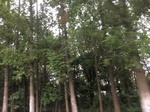 2017-09-11_22-25-47_31136681-5F17-4F19-94B0-B870E5AA257F.jpg