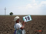 12691018b-irrigated-canal-rice-single-crop.gif