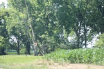2022-05-26_14-16-11_EEEC3795-8B7D-453A-A73C-16687A145489.jpeg