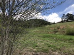 2018-05-27_14-19-59_B7E76DE3-F1E4-4FE5-9D77-BCA99556C338.jpg