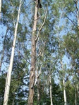 17599100_2536.JPG