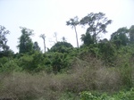 3760RIMG0064.JPG