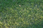 2017-07-05_14-51-30_LOOKING DOWN.jpg