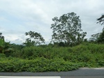20503P1020360.JPG