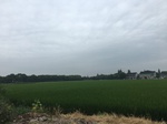2017-09-10_06-38-51_8D8C1077-0CA1-493D-B847-39CAF443560F.jpg