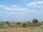 490502052008(97).JPG