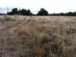 2012-09-04_07-43-55_photo_2.JPG