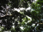 15404IMG_4257.JPG