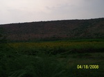 491718042008(20).JPG
