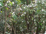 492619042008(15).JPG