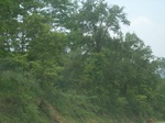 2012-09-08_20-00-52_RIMG0088.JPG