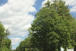2022-06-12_15-03-12_636EBE2C-4418-4364-8146-B70DB793FAD3.jpeg