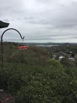 2017-02-19_11-36-57_81F4B60C-53BB-4971-BC01-148E19C17BA7.jpg