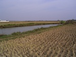 3190R0017224.JPG