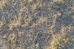 2012-09-02_21-39-49_DSC_1624.JPG