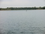 58343CIMG2792.JPG