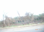 3718RIMG0021.JPG
