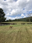 2018-09-03_13-00-24_9735035B-E9B2-4A3F-9A64-071CE1BA28BF.jpg