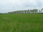 1798120090810_gt01a_Agriculture_Rice_Irrigated_Triple_Continous.JPG