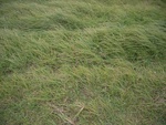 4628RIMG0059.JPG