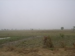 3951RIMG0255.JPG