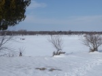 2017-02-21_14-48-33_Feb17-010-VT.jpg