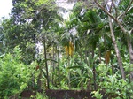 1711919042008(33).JPG