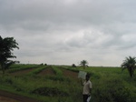 9818gt0118a-cropland-rainfed-supplemental.gif