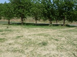 19240P1010086.JPG