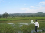 7867gt06a-cropland-rice-valley.jpg